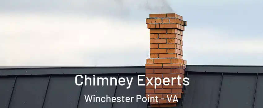 Chimney Experts Winchester Point - VA