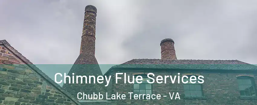 Chimney Flue Services Chubb Lake Terrace - VA