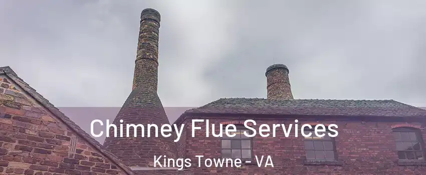 Chimney Flue Services Kings Towne - VA