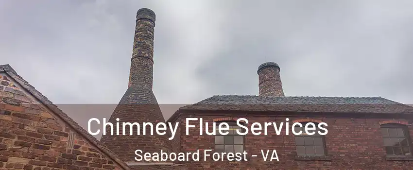 Chimney Flue Services Seaboard Forest - VA