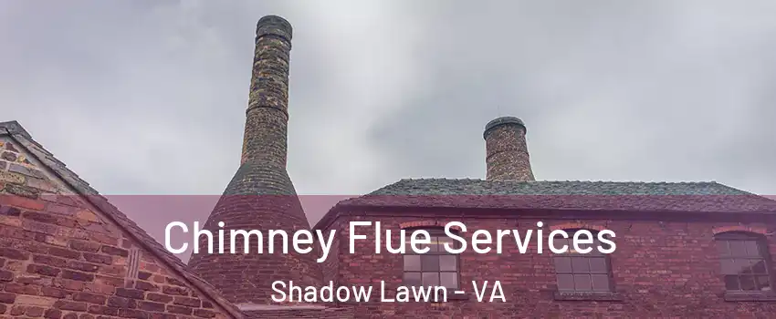 Chimney Flue Services Shadow Lawn - VA