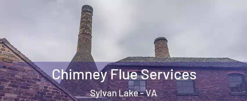 Chimney Flue Services Sylvan Lake - VA