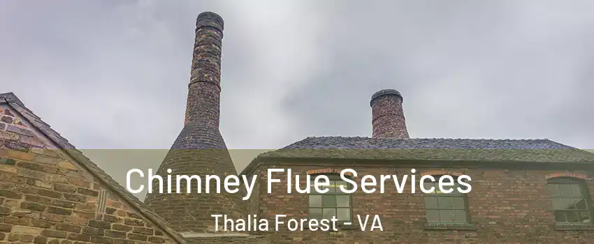 Chimney Flue Services Thalia Forest - VA