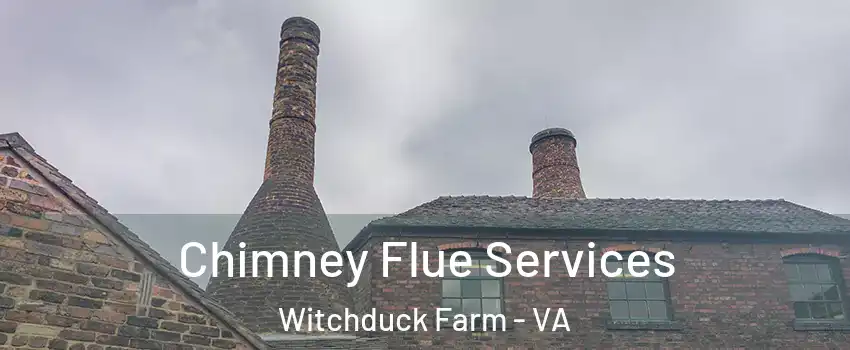 Chimney Flue Services Witchduck Farm - VA