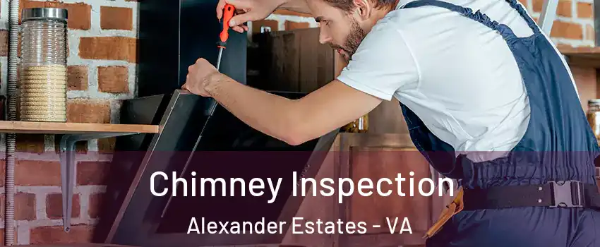 Chimney Inspection Alexander Estates - VA