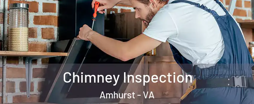 Chimney Inspection Amhurst - VA