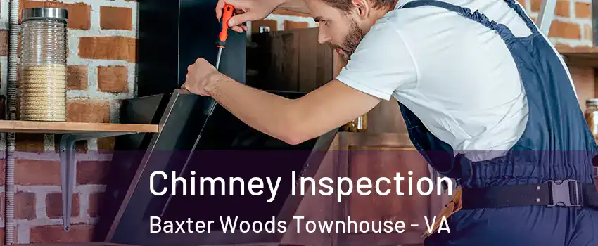 Chimney Inspection Baxter Woods Townhouse - VA