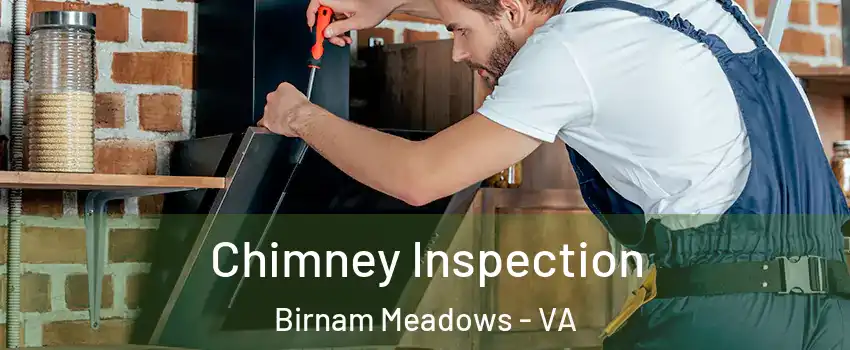 Chimney Inspection Birnam Meadows - VA