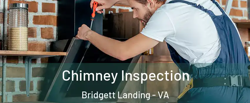 Chimney Inspection Bridgett Landing - VA