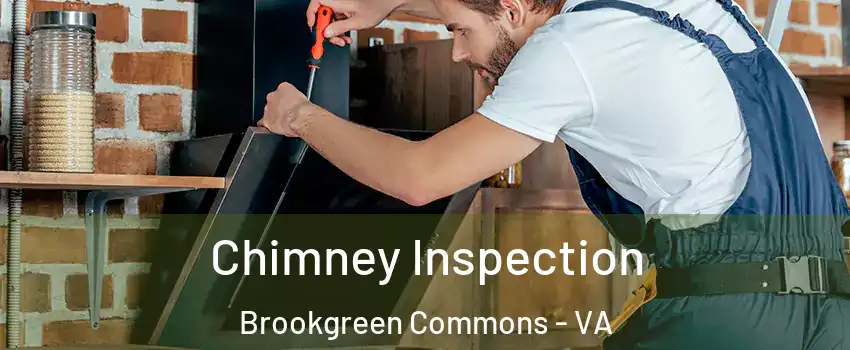 Chimney Inspection Brookgreen Commons - VA