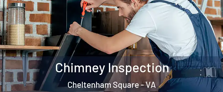 Chimney Inspection Cheltenham Square - VA