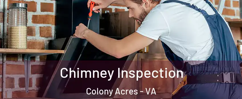 Chimney Inspection Colony Acres - VA