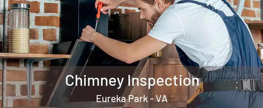 Chimney Inspection Eureka Park - VA