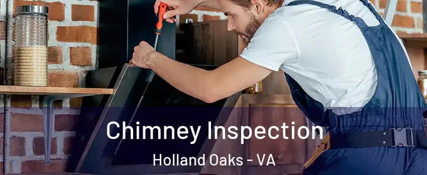 Chimney Inspection Holland Oaks - VA