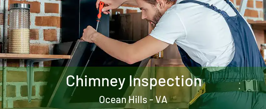 Chimney Inspection Ocean Hills - VA