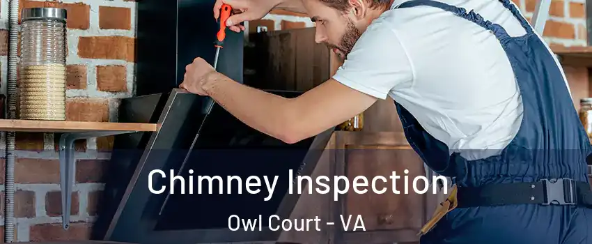 Chimney Inspection Owl Court - VA