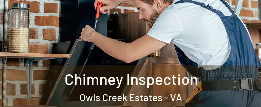 Chimney Inspection Owls Creek Estates - VA