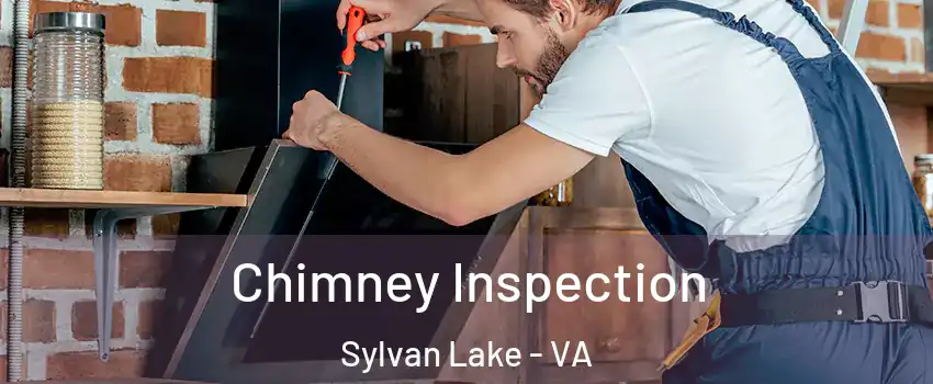 Chimney Inspection Sylvan Lake - VA