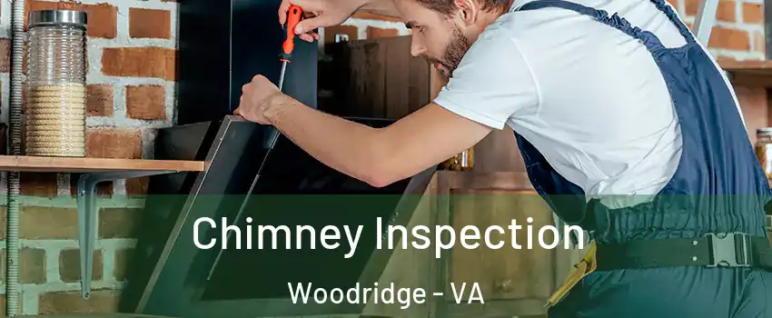 Chimney Inspection Woodridge - VA