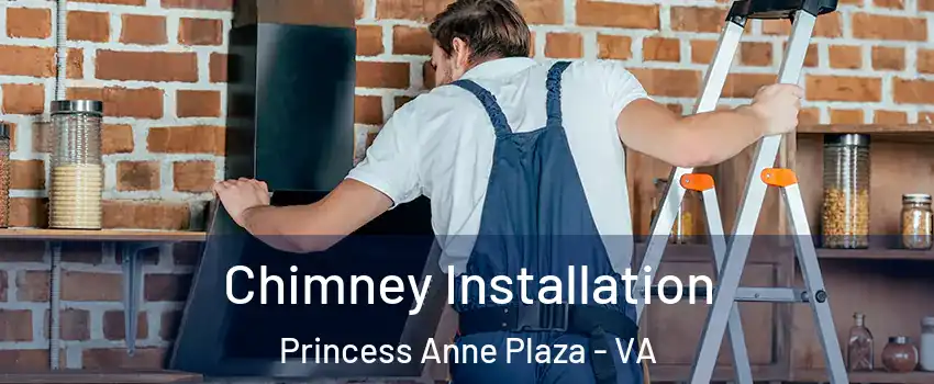 Chimney Installation Princess Anne Plaza - VA