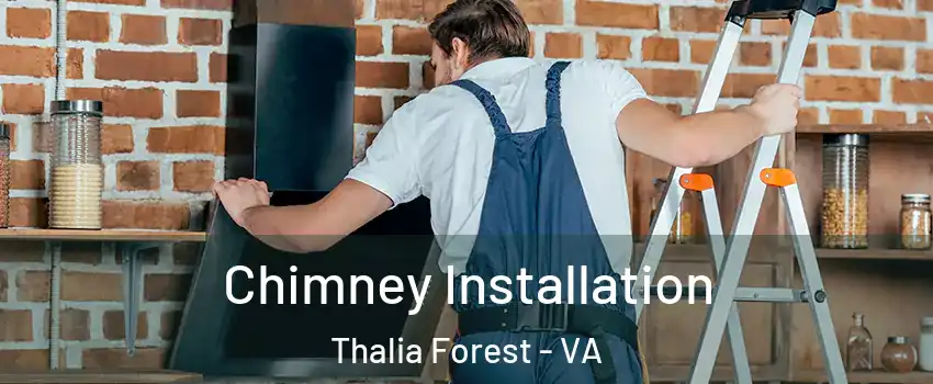 Chimney Installation Thalia Forest - VA