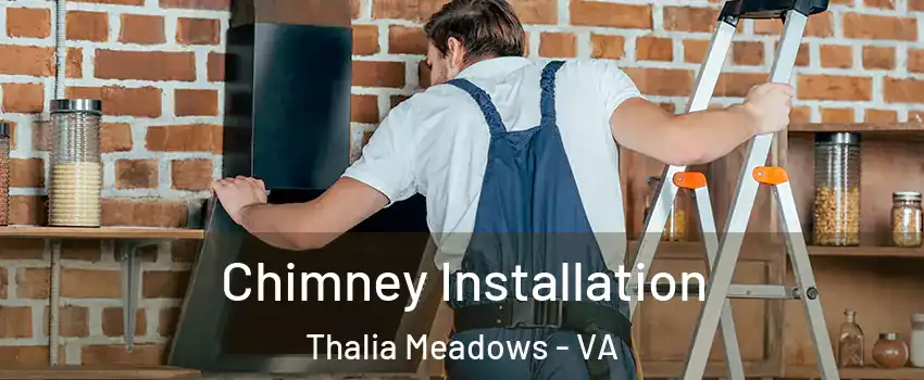 Chimney Installation Thalia Meadows - VA