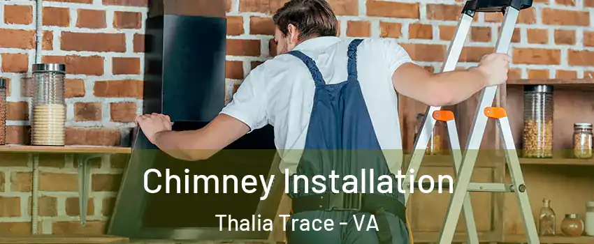 Chimney Installation Thalia Trace - VA