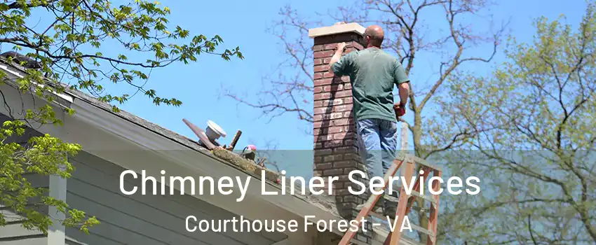 Chimney Liner Services Courthouse Forest - VA