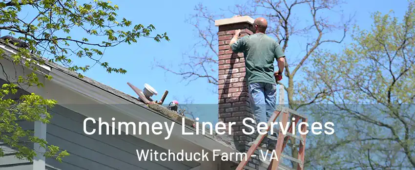 Chimney Liner Services Witchduck Farm - VA