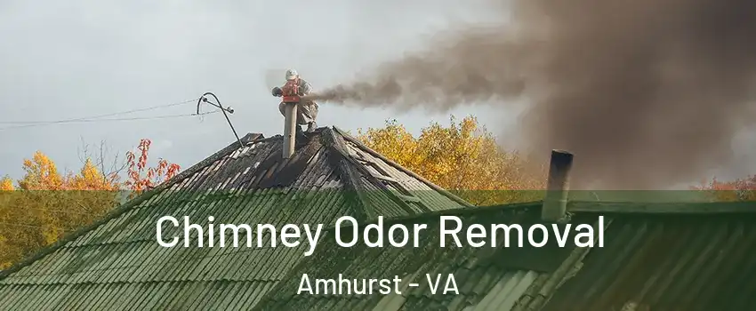 Chimney Odor Removal Amhurst - VA