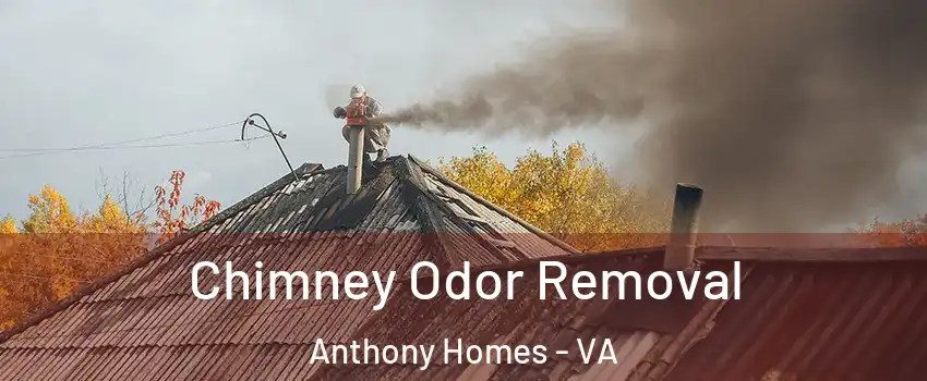 Chimney Odor Removal Anthony Homes - VA