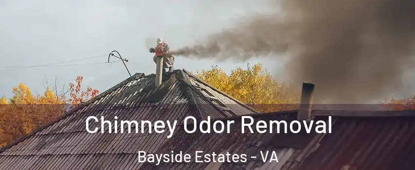 Chimney Odor Removal Bayside Estates - VA