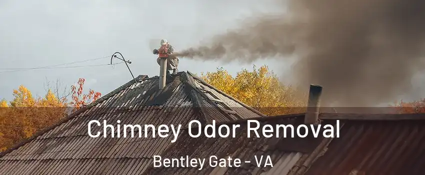 Chimney Odor Removal Bentley Gate - VA