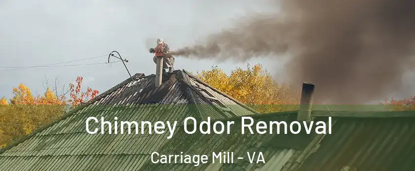 Chimney Odor Removal Carriage Mill - VA