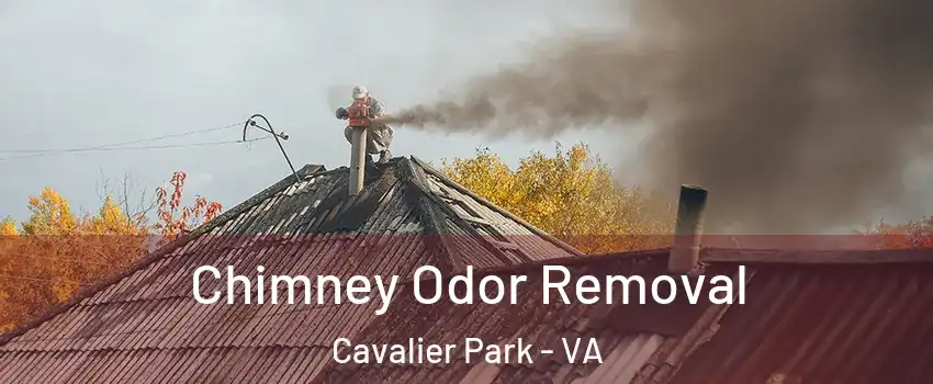 Chimney Odor Removal Cavalier Park - VA