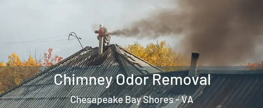 Chimney Odor Removal Chesapeake Bay Shores - VA