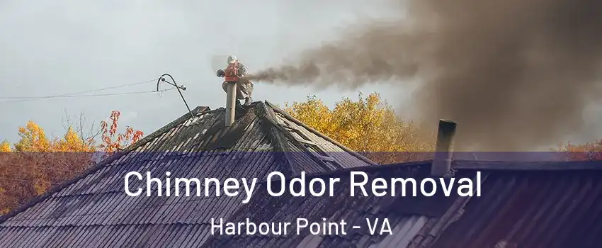 Chimney Odor Removal Harbour Point - VA