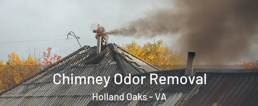 Chimney Odor Removal Holland Oaks - VA