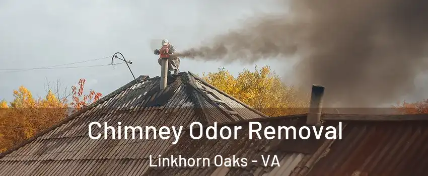 Chimney Odor Removal Linkhorn Oaks - VA