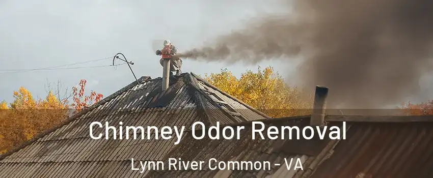 Chimney Odor Removal Lynn River Common - VA