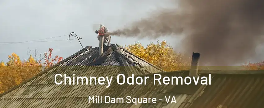 Chimney Odor Removal Mill Dam Square - VA