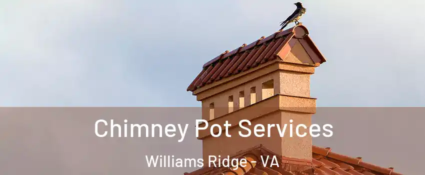 Chimney Pot Services Williams Ridge - VA