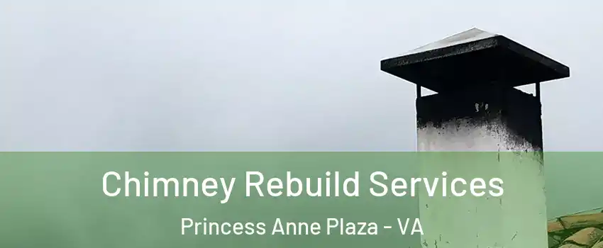 Chimney Rebuild Services Princess Anne Plaza - VA