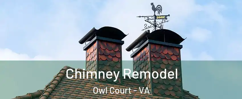 Chimney Remodel Owl Court - VA