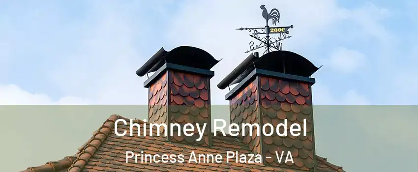 Chimney Remodel Princess Anne Plaza - VA