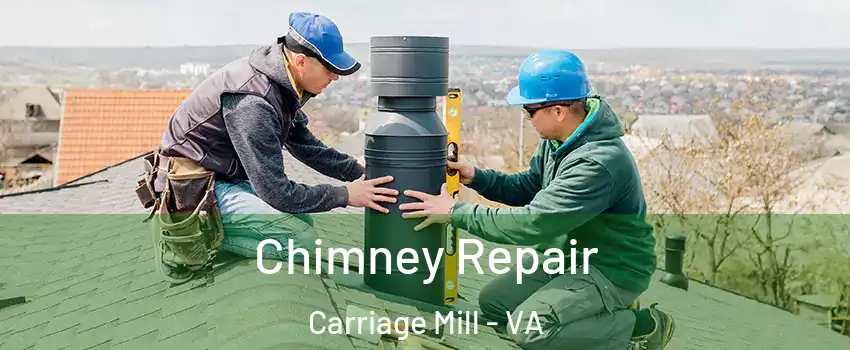 Chimney Repair Carriage Mill - VA