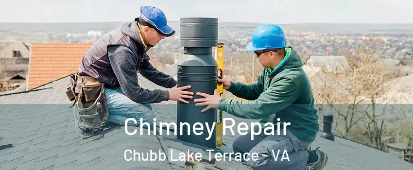 Chimney Repair Chubb Lake Terrace - VA