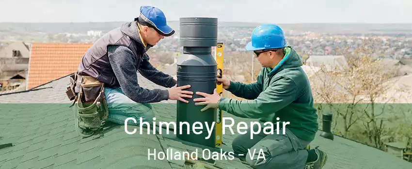 Chimney Repair Holland Oaks - VA