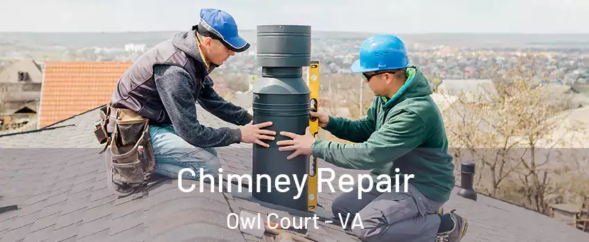 Chimney Repair Owl Court - VA