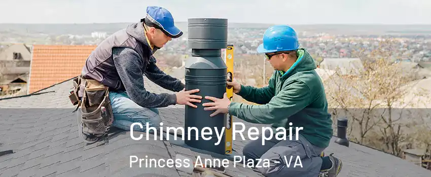 Chimney Repair Princess Anne Plaza - VA